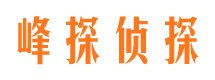 北林市侦探调查公司